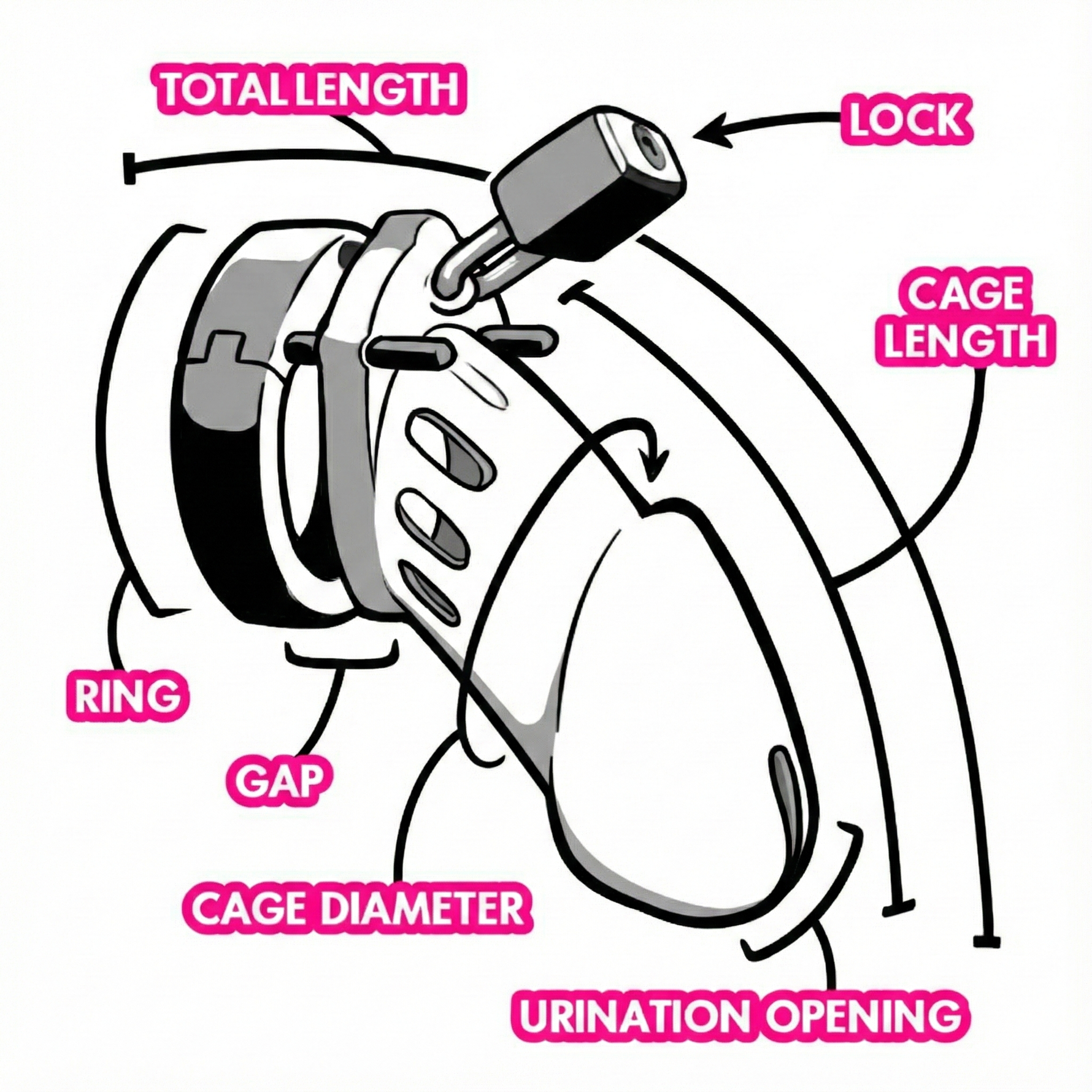 Chastity device anatomy showing ring, cage, gap, and urination opening with measurement labels