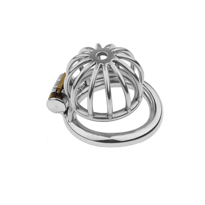 Metal chastity cage  on front angle on a white background