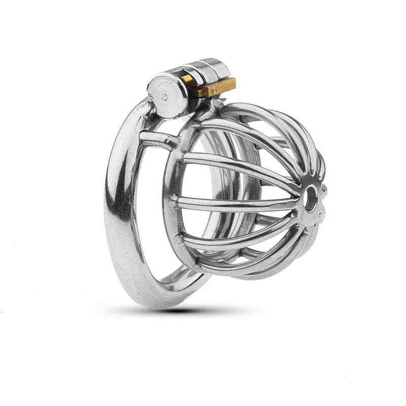 Metal chastity cage on a white background