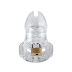 Clear plastic chastity cage with a gold lock mechanism on a white background