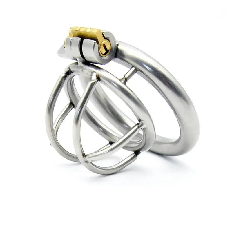 Small size metal chastity cage with secure lock and smooth ring