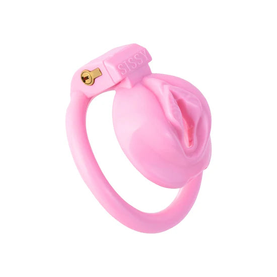 Pink Inverted Chastity Device with 4 Rings & Magic Lock